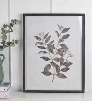 Large Wooden Framed Botanical Prints