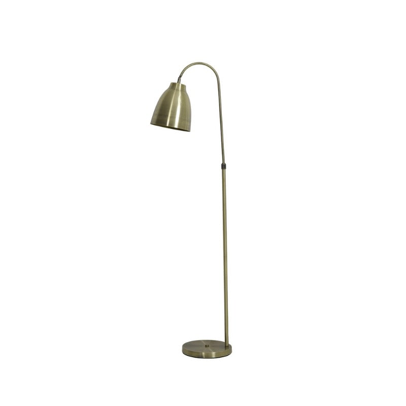 Adjustable gold floor lamp